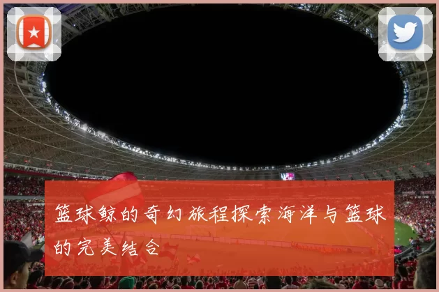 篮球鲸的奇幻旅程探索海洋与篮球的完美结合