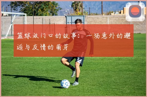 篮球放门口的故事：一场意外的邂逅与友情的萌芽